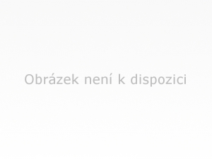 Inteligentní řešení horkých vtoků vhodná pro každou aplikaci